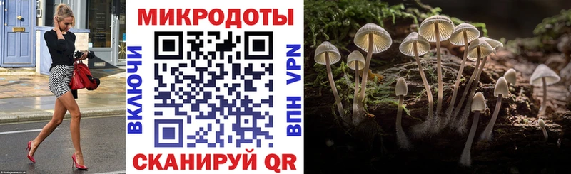 Галлюциногенные грибы Psilocybe  Серафимович 